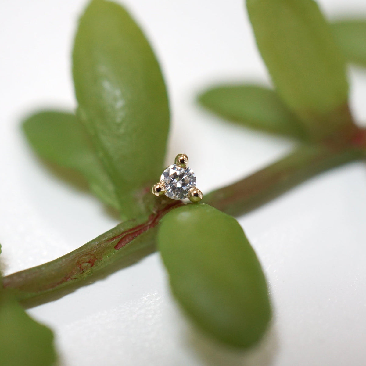 Modern Mood Gia - Round Diamond Solitaire - Prong, supplier photo 10