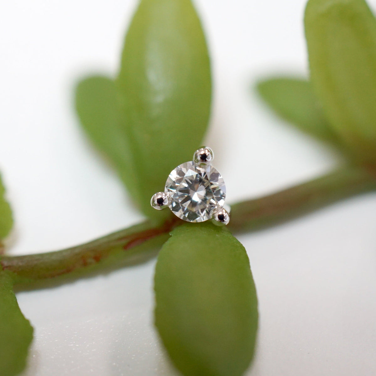 Modern Mood Gia - Round Diamond Solitaire - Prong, supplier photo 11